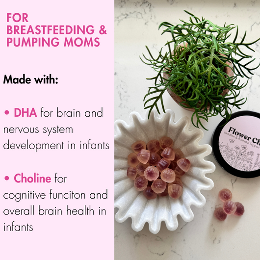 Lactation Support Gummies + Postnatal Vitamins
