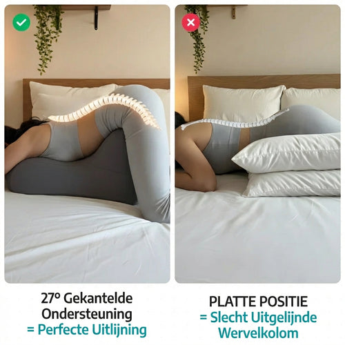 Moodie Comfort Pillow