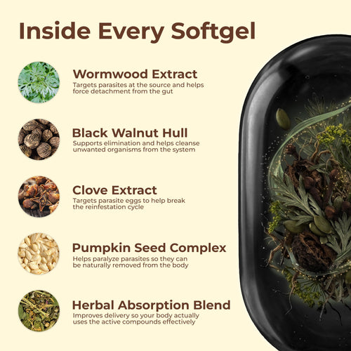 WormWood by Holior